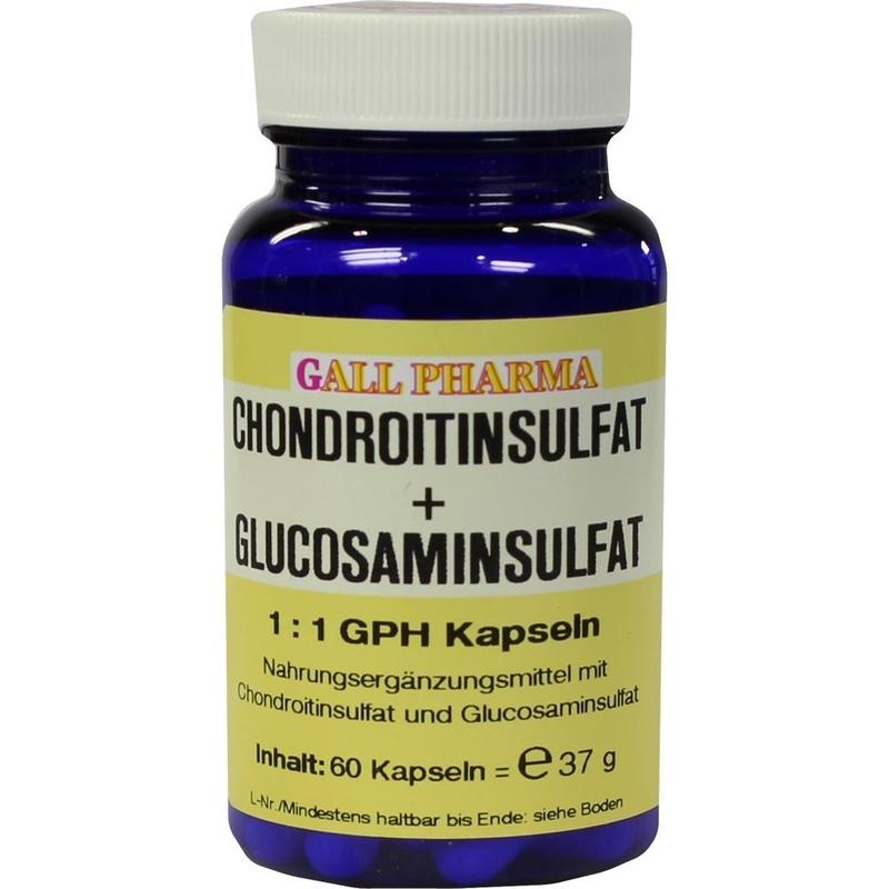 CHONDROITINSULFAT+Glusosaminsulfat 1:1 GPH Kapseln