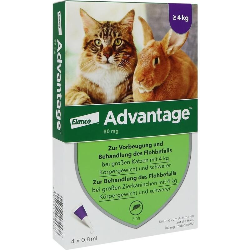 ADVANTAGE 80 mg f.gr.Katzen u.gr.Zierkaninchen